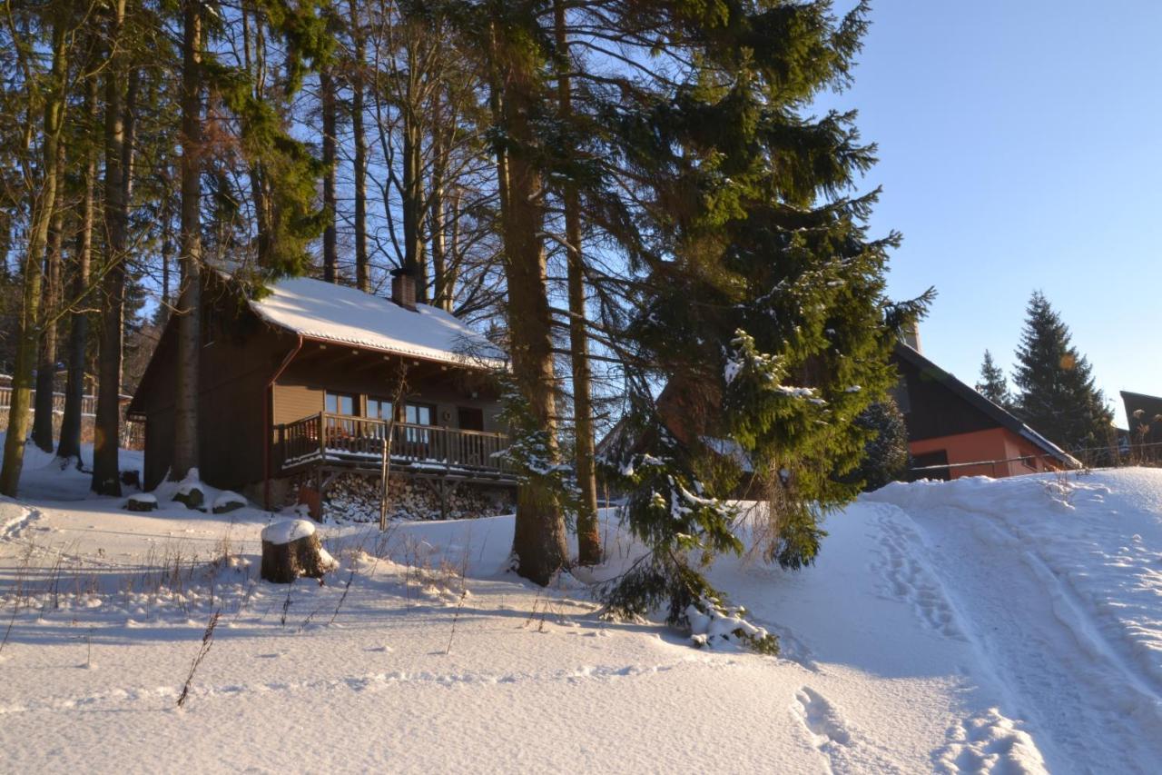 Hotel Jirinka Dolni Morava Exterior photo